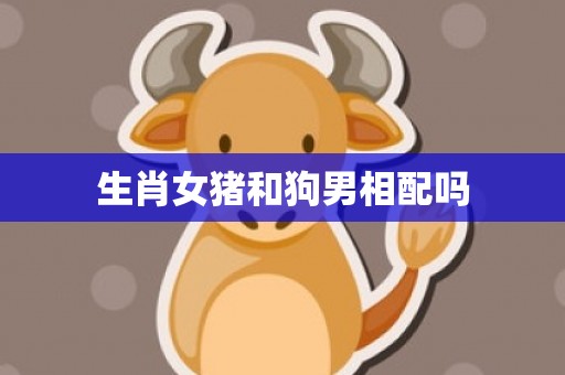生肖女猪和狗男相配吗