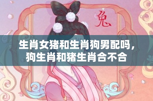生肖女猪和生肖狗男配吗，狗生肖和猪生肖合不合