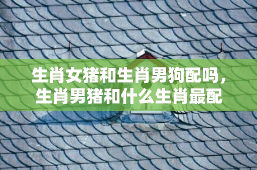 生肖女猪和生肖男狗配吗，生肖男猪和什么生肖最配