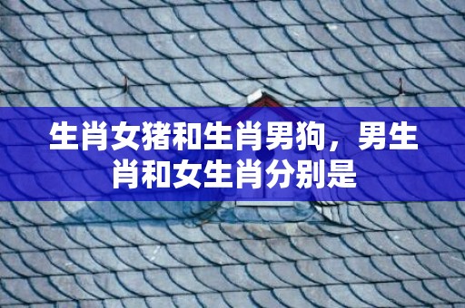 生肖女猪和生肖男狗，男生肖和女生肖分别是