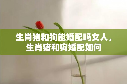 生肖猪和狗能婚配吗女人，生肖猪和狗婚配如何