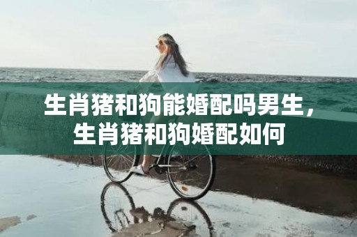 生肖猪和狗能婚配吗男生，生肖猪和狗婚配如何