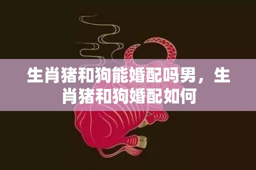 生肖猪和狗能婚配吗男，生肖猪和狗婚配如何