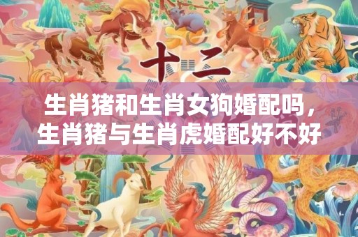 生肖猪和生肖女狗婚配吗，生肖猪与生肖虎婚配好不好