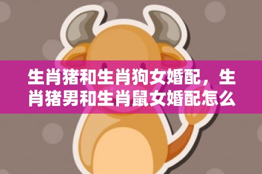 生肖猪和生肖狗女婚配，生肖猪男和生肖鼠女婚配怎么样