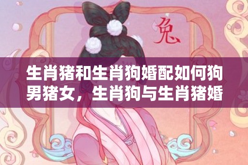 生肖猪和生肖狗婚配如何狗男猪女，生肖狗与生肖猪婚配怎样