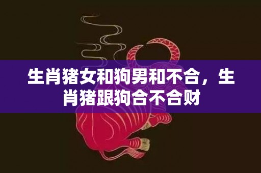 生肖猪女和狗男和不合，生肖猪跟狗合不合财