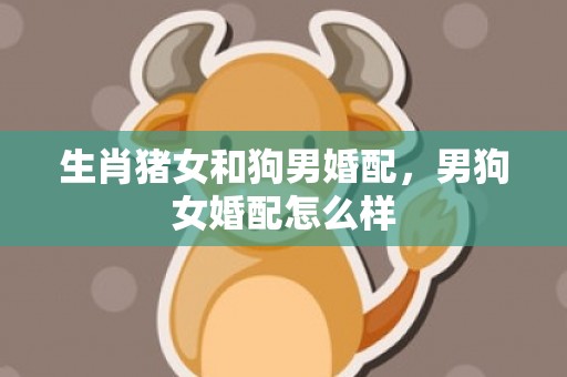生肖猪女和狗男婚配，男狗女婚配怎么样