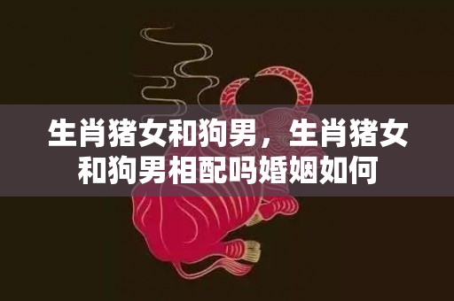 生肖猪女和狗男，生肖猪女和狗男相配吗婚姻如何