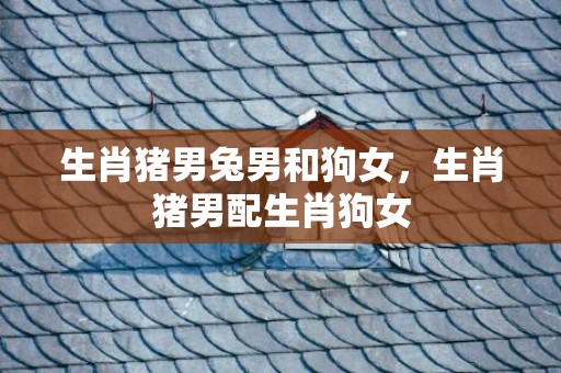 生肖猪男兔男和狗女，生肖猪男配生肖狗女