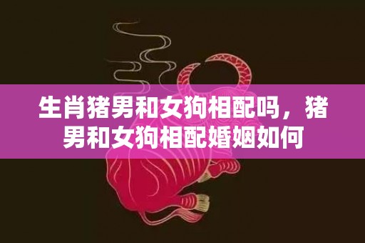 生肖猪男和女狗相配吗，猪男和女狗相配婚姻如何