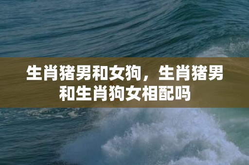 生肖猪男和女狗，生肖猪男和生肖狗女相配吗