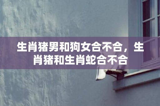 生肖猪男和狗女合不合，生肖猪和生肖蛇合不合