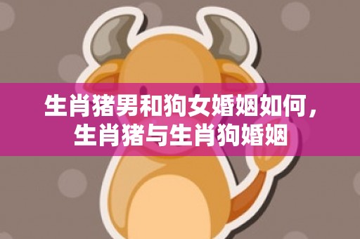 生肖猪男和狗女婚姻如何，生肖猪与生肖狗婚姻
