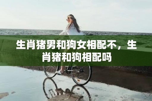 生肖猪男和狗女相配不，生肖猪和狗相配吗