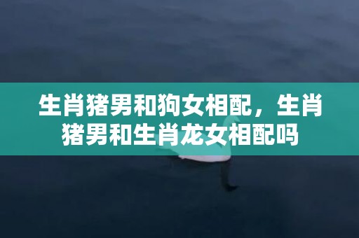 生肖猪男和狗女相配，生肖猪男和生肖龙女相配吗
