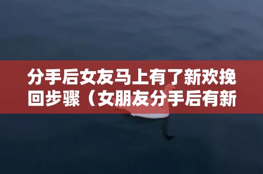 分手后女友马上有了新欢挽回步骤（女朋友分手后有新欢了我还有机会吗）