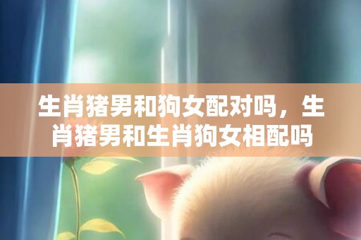 生肖猪男和狗女配对吗，生肖猪男和生肖狗女相配吗