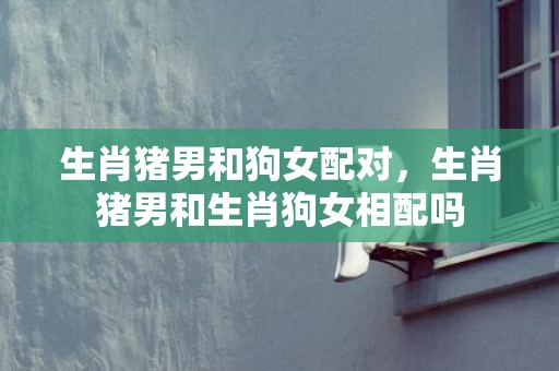 生肖猪男和狗女配对，生肖猪男和生肖狗女相配吗