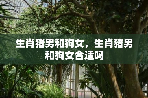 生肖猪男和狗女，生肖猪男和狗女合适吗