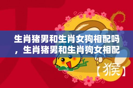 生肖猪男和生肖女狗相配吗，生肖猪男和生肖狗女相配吗