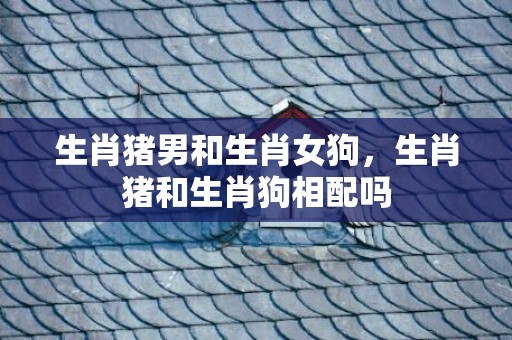 生肖猪男和生肖女狗，生肖猪和生肖狗相配吗