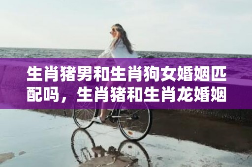 生肖猪男和生肖狗女婚姻匹配吗，生肖猪和生肖龙婚姻相配吗