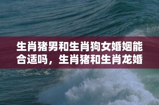 生肖猪男和生肖狗女婚姻能合适吗，生肖猪和生肖龙婚姻相配吗