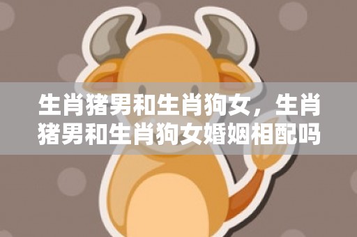 生肖猪男和生肖狗女，生肖猪男和生肖狗女婚姻相配吗