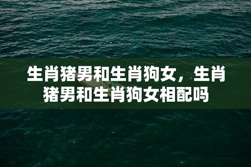 生肖猪男和生肖狗女，生肖猪男和生肖狗女相配吗