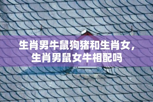 生肖男牛鼠狗猪和生肖女，生肖男鼠女牛相配吗
