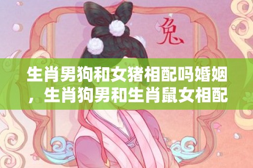 生肖男狗和女猪相配吗婚姻，生肖狗男和生肖鼠女相配吗