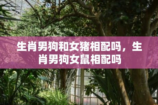 生肖男狗和女猪相配吗，生肖男狗女鼠相配吗