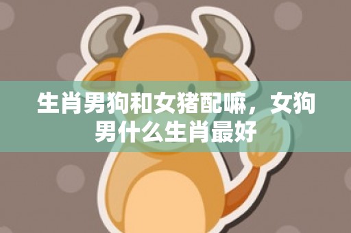 生肖男狗和女猪配嘛，女狗男什么生肖最好
