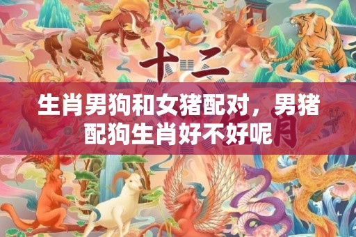 生肖男狗和女猪配对，男猪配狗生肖好不好呢