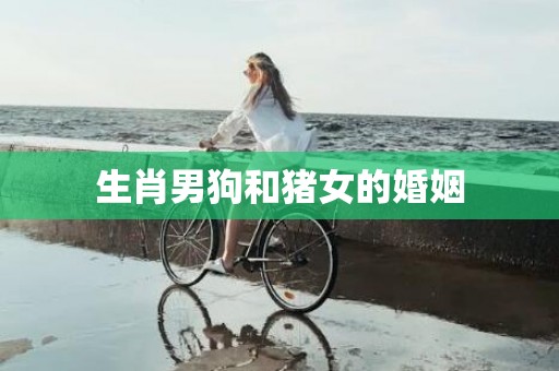 生肖男狗和猪女的婚姻