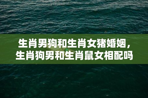 生肖男狗和生肖女猪婚姻，生肖狗男和生肖鼠女相配吗