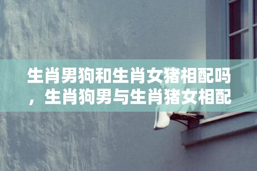 生肖男狗和生肖女猪相配吗，生肖狗男与生肖猪女相配吗