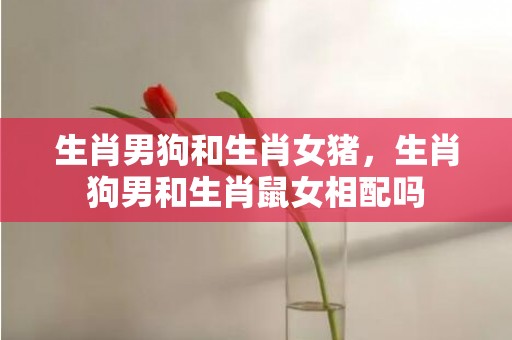 生肖男狗和生肖女猪，生肖狗男和生肖鼠女相配吗