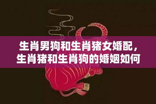 生肖男狗和生肖猪女婚配，生肖猪和生肖狗的婚姻如何