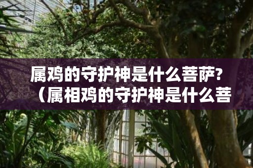 属鸡的守护神是什么菩萨?（属相鸡的守护神是什么菩萨属鸡的守护菩萨是哪位）