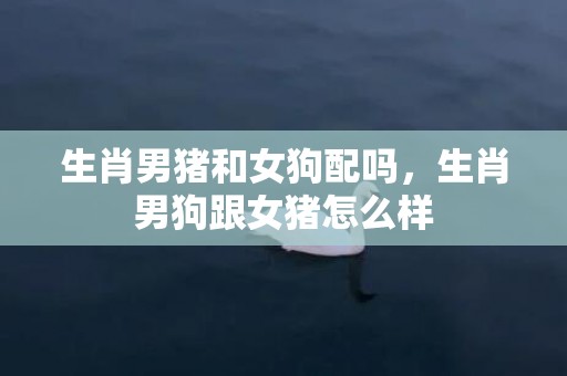 生肖男猪和女狗配吗，生肖男狗跟女猪怎么样