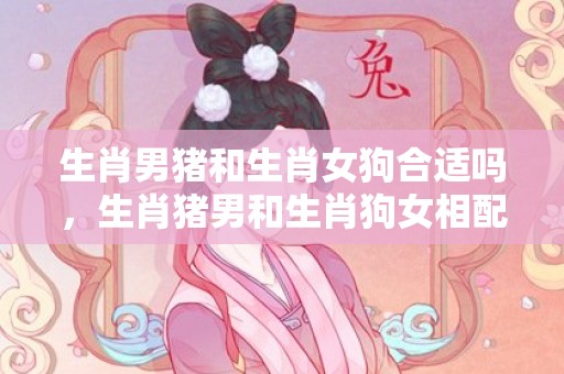 生肖男猪和生肖女狗合适吗，生肖猪男和生肖狗女相配吗