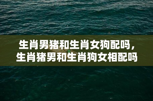 生肖男猪和生肖女狗配吗，生肖猪男和生肖狗女相配吗