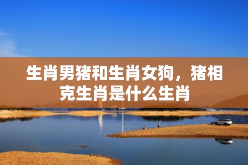 生肖男猪和生肖女狗，猪相克生肖是什么生肖