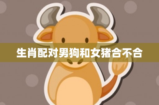 生肖配对男狗和女猪合不合