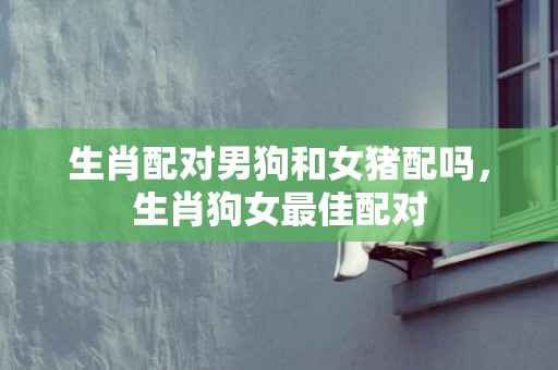 生肖配对男狗和女猪配吗，生肖狗女最佳配对
