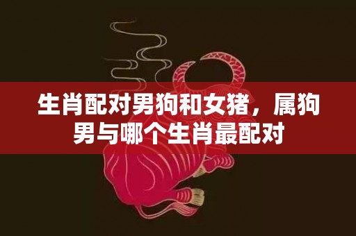 生肖配对男狗和女猪，属狗男与哪个生肖最配对