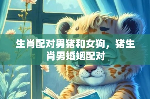 生肖配对男猪和女狗，猪生肖男婚姻配对