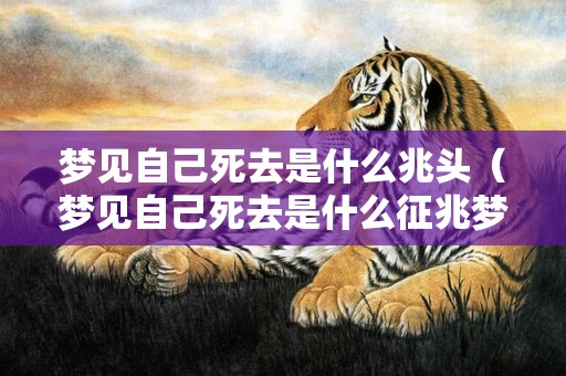 梦见自己死去是什么兆头（梦见自己死去是什么征兆梦见自己死去是什么征兆呢）